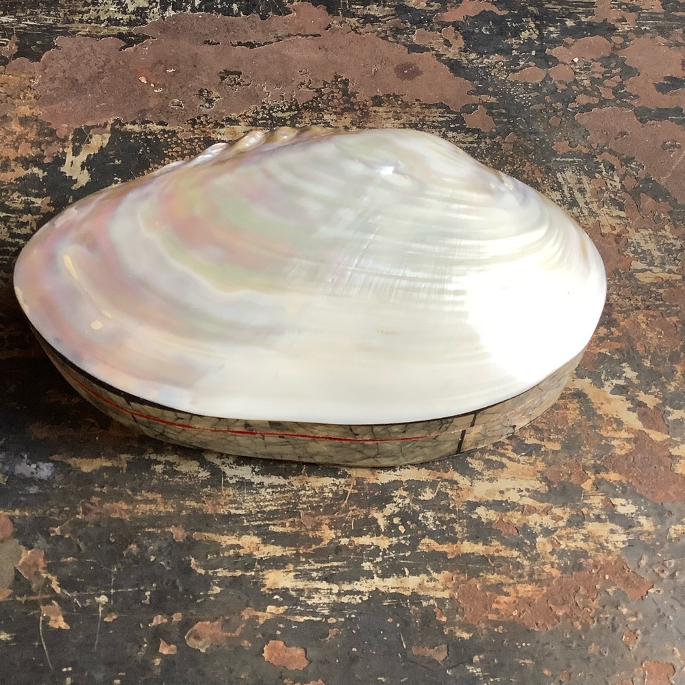 Vintage Large Mother of Pearl Clam Shell and Abalone Box - Picture 3 of 7